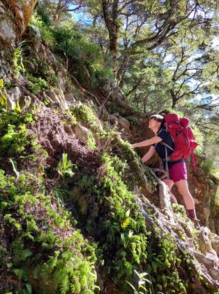 Climbing the rope on the track to Waioronomai Hut