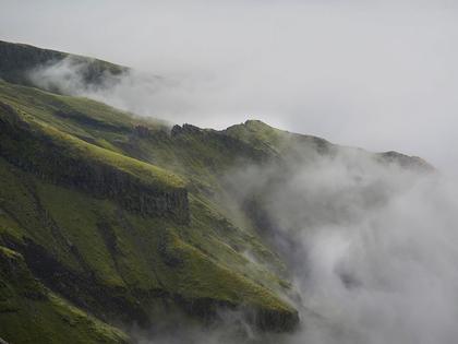 Taranaki