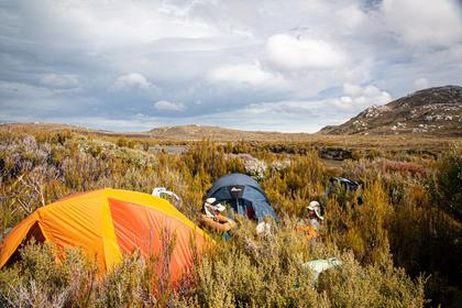 A cramped camp in the scrub at Cook Arm