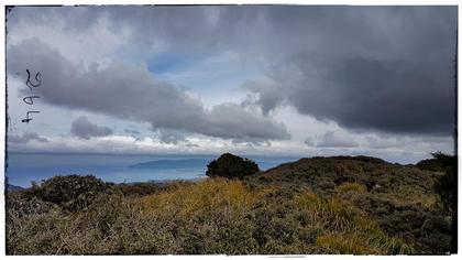 Wellington view