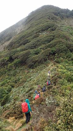 Some more climbing after South Saddle. Photo credit: Matt C.
