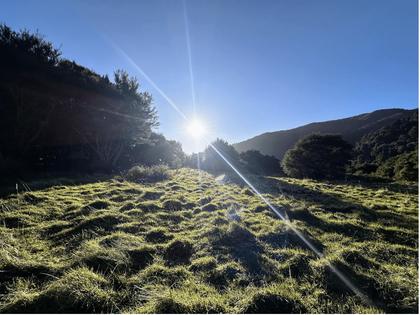 The Totara Flats. Photo Credit: Lia