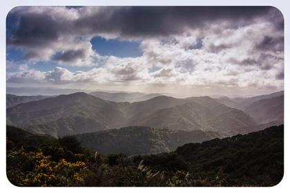 View over Hutt Valley from Cattle Ridge Track