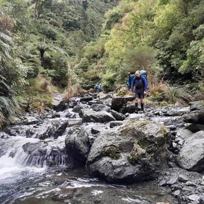 Oruakeretaki Stream