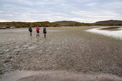 Cook Arm mud-flats at low tide