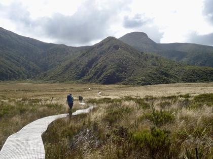 Boardwalk across the Swamp – it certainly didn’t look swampy. It seemed dry under the boardwalk, full of plants