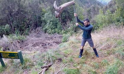 Man chopping wood