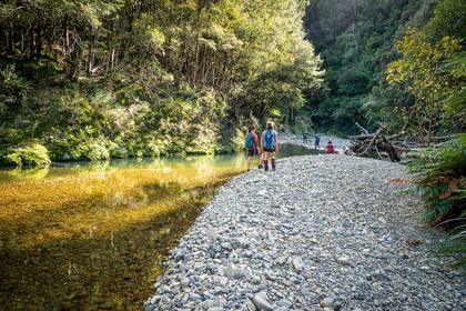 Whakatikei River