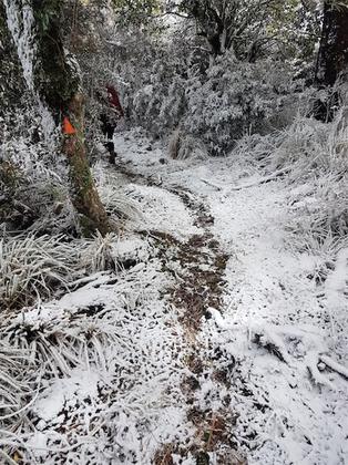 Snowflake patterns. Photo credit: Patrick.