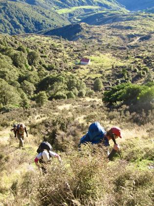 Climbing above Hikurangi Hut (Credit: Harry)