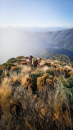 Climbing the track above Top Gorge Hut