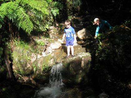 hanging out in the creek