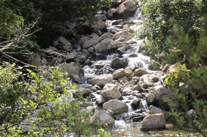 A little waterfall.