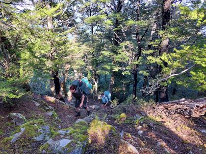 Climbing up the ridgeline track.