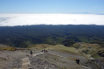Steps down Mt Taranaki