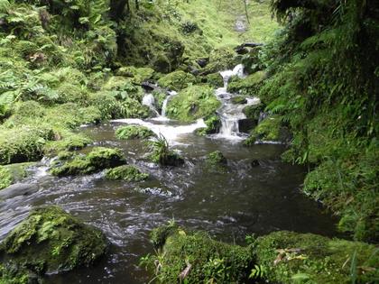 Stream below the falls