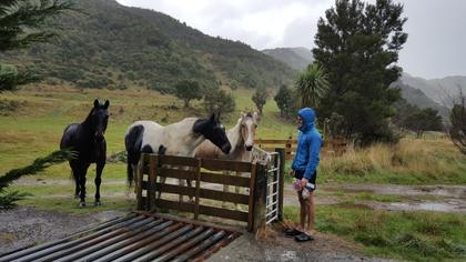 Horses (left) and James (right) at the end – Sarah F