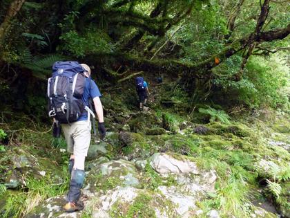 1---Start-of-the-track-to-Mangahao-Flats-hut