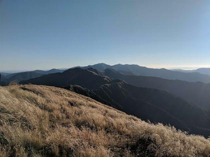 Looking ahead at the final section of day 2, Maungahuka being the easy left-tending slope in the sun ahead (from the top of Aokaparangi)
