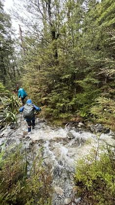 A small stream that had been barely noticeable the day before on the Cupola Hut track [Daniel]