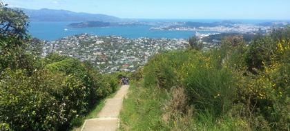 skyline track