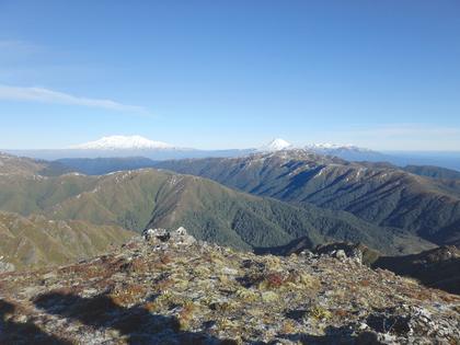 Kaimanawa Range