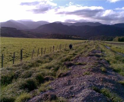 Last lazy bit out, looking back to Papatahi and Mt Matthews