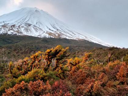 Taranaki