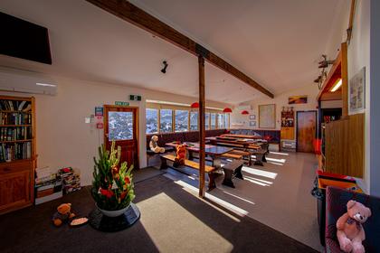 The top part of the tree in a pot inside the Ruapehu Lodge which is a better place for a pine tree