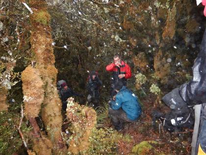 Miserable conditions just below the bush line near South King
