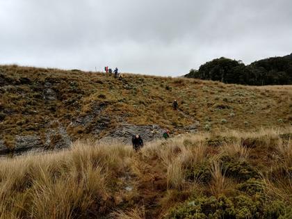 Trampers crossing ridges and re-entrants in tussock
