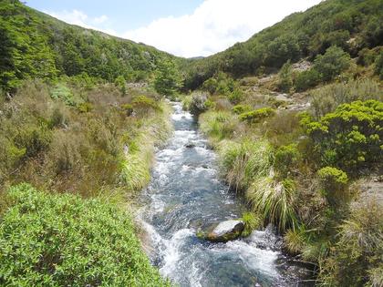The last descent of the day is into this beautiful stream valley. (Photo was taken from a bridge.)
