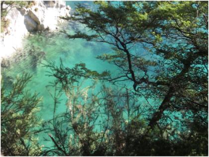 Green, blue, turquoise sea