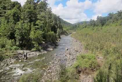 A view down the Tauherenikau River.