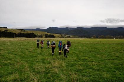 Hopping the fence onto the farm