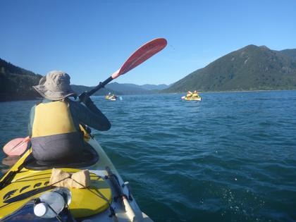 View of the back of a kayaker paddling on the sea. Three other kayaks are visible ahead
