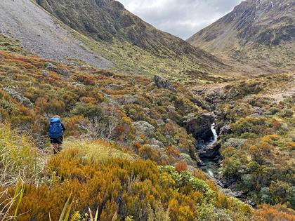 Minchin Stream towards Minchin Pass