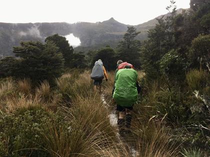 Three trampers walking through open bush. It looks wet