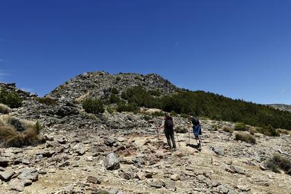 Pt 1516 m on Topo map