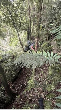 …instead choosing to bush-bash up a spur