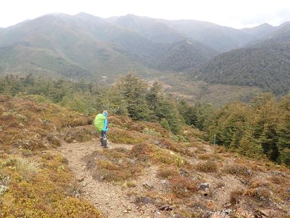 Descent to Waikapihi Hut