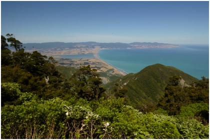 The view to Palliser Bay from the summit