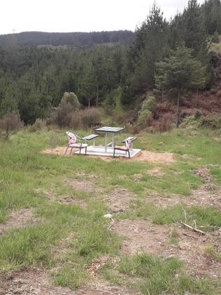 A garden seating area – the pink seat cushions are a nice touch.