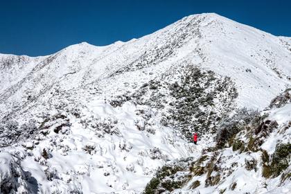 Jumbo to Holdsworth circuit