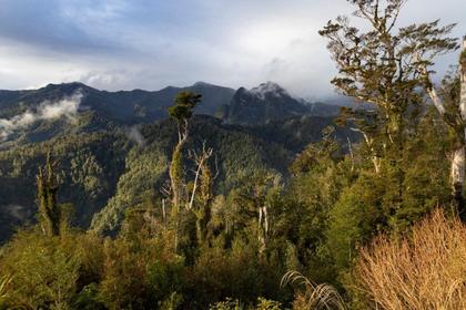 Paparoa Range – Photo credit Lynsey