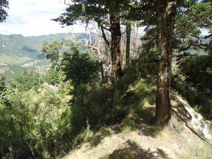 The descent back down with peeks of the river