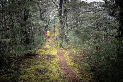 Richmond Range track