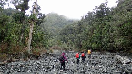 Approaching the start of the climb up Mount Matthews. Photo credit: Matt C.