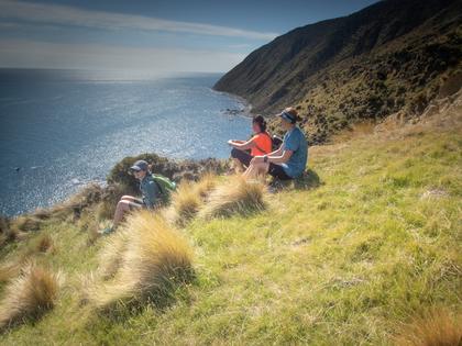 On the grassy terrace above the sea cliffs