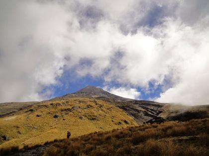 Taranaki